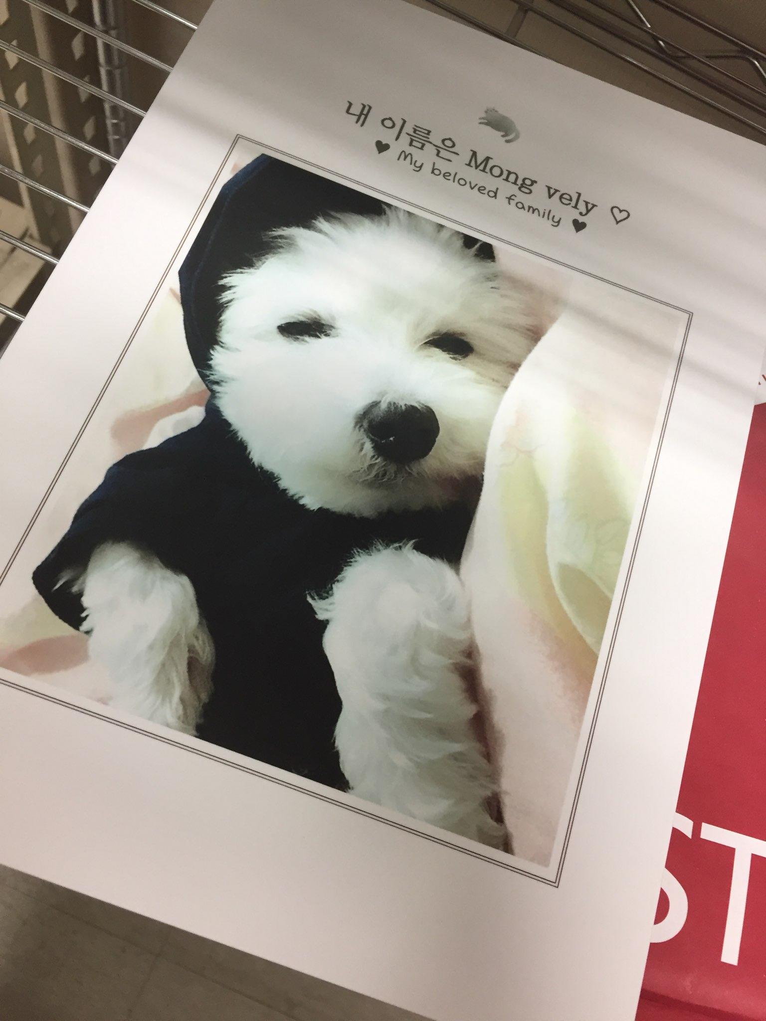 photo%5F1497846512%2Ejpg