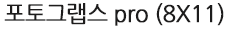 포토그랩스 pro (8X11)