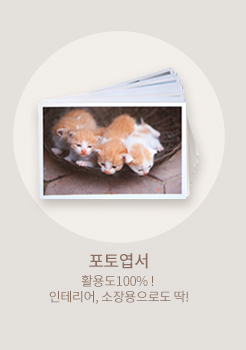 포토엽서 바로가기