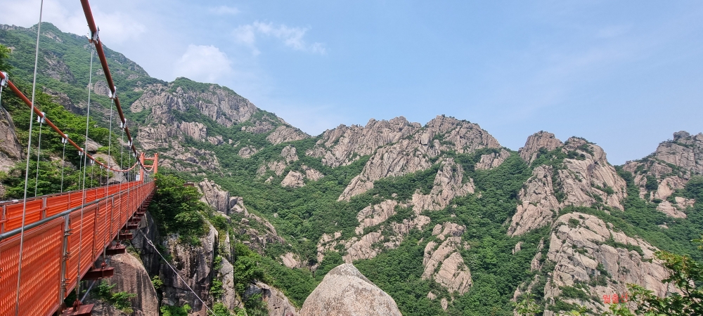 사진인화 이용후기