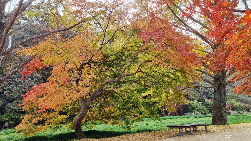 사진인화 이용후기
