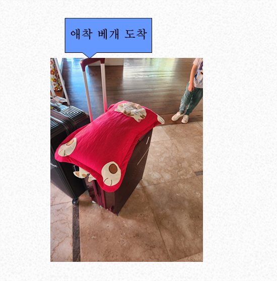 -님의 이용후기