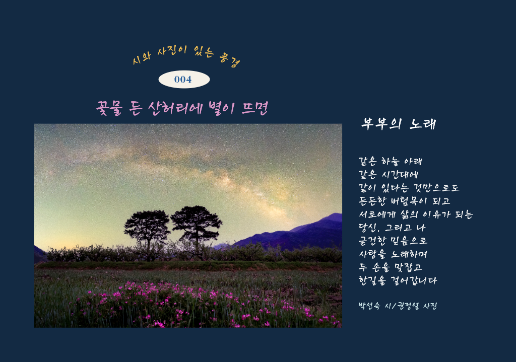님의 이용후기