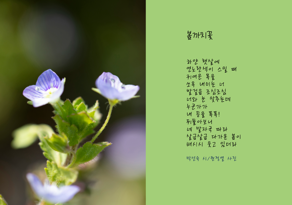 님의 이용후기