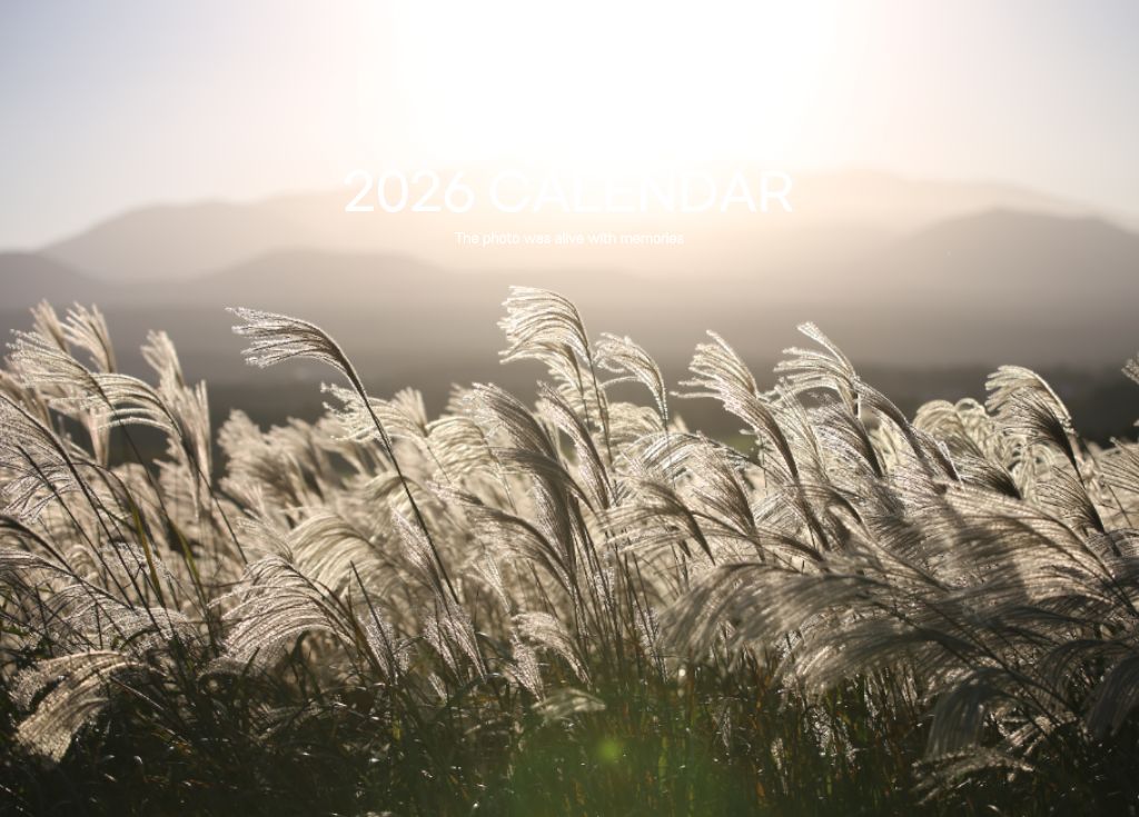 호기심만땅소녀님의 이용후기