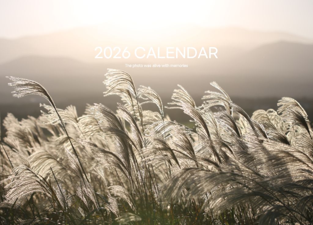 호기심만땅소녀님의 이용후기