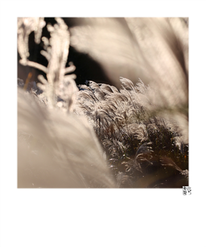 호기심만땅소녀님의 이용후기