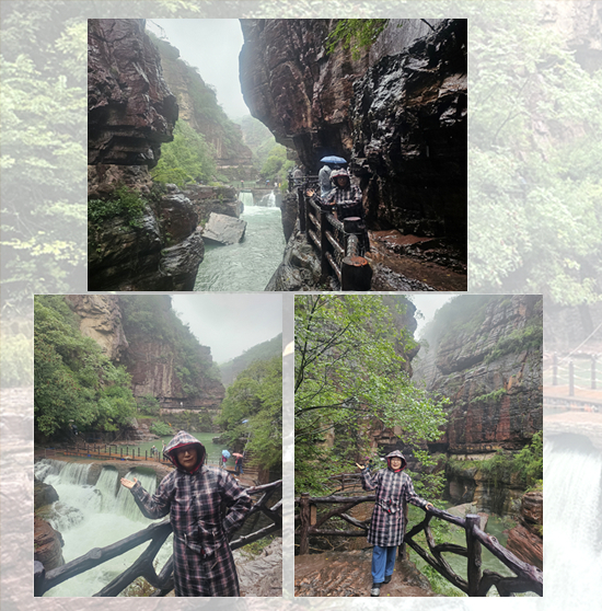 mischoi님의 이용후기