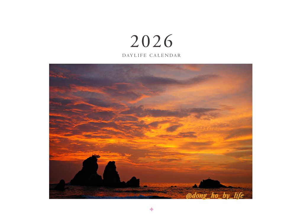 꿈꾸는꿀돼지님의 이용후기