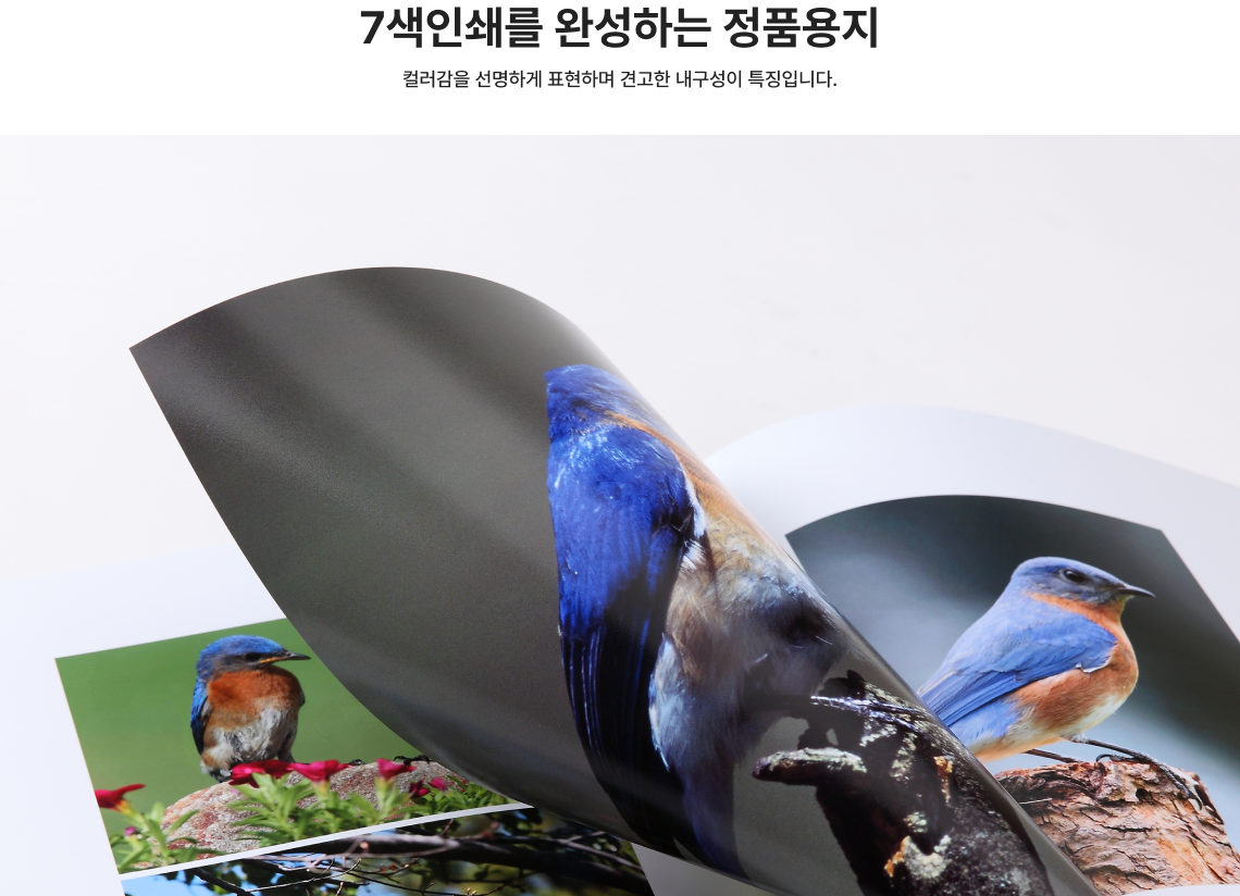 7색인쇄를 완성하는 정품용지 컬러감을 선명하게 표현하며 견고한 내구성이 특징입니다.