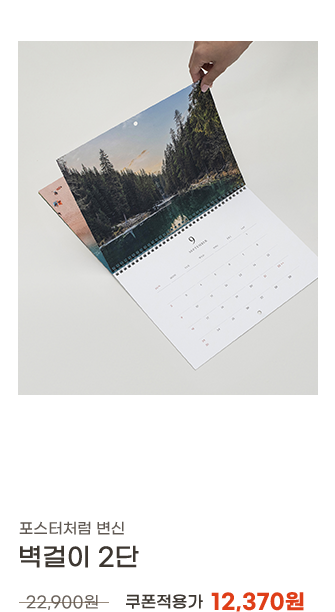 벽걸이 2단 쿠폰적용가 12,370원