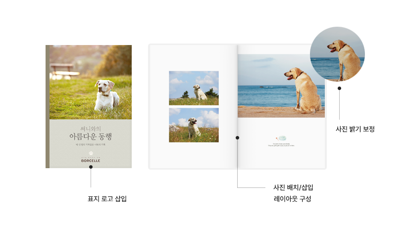 편집유형 실속형